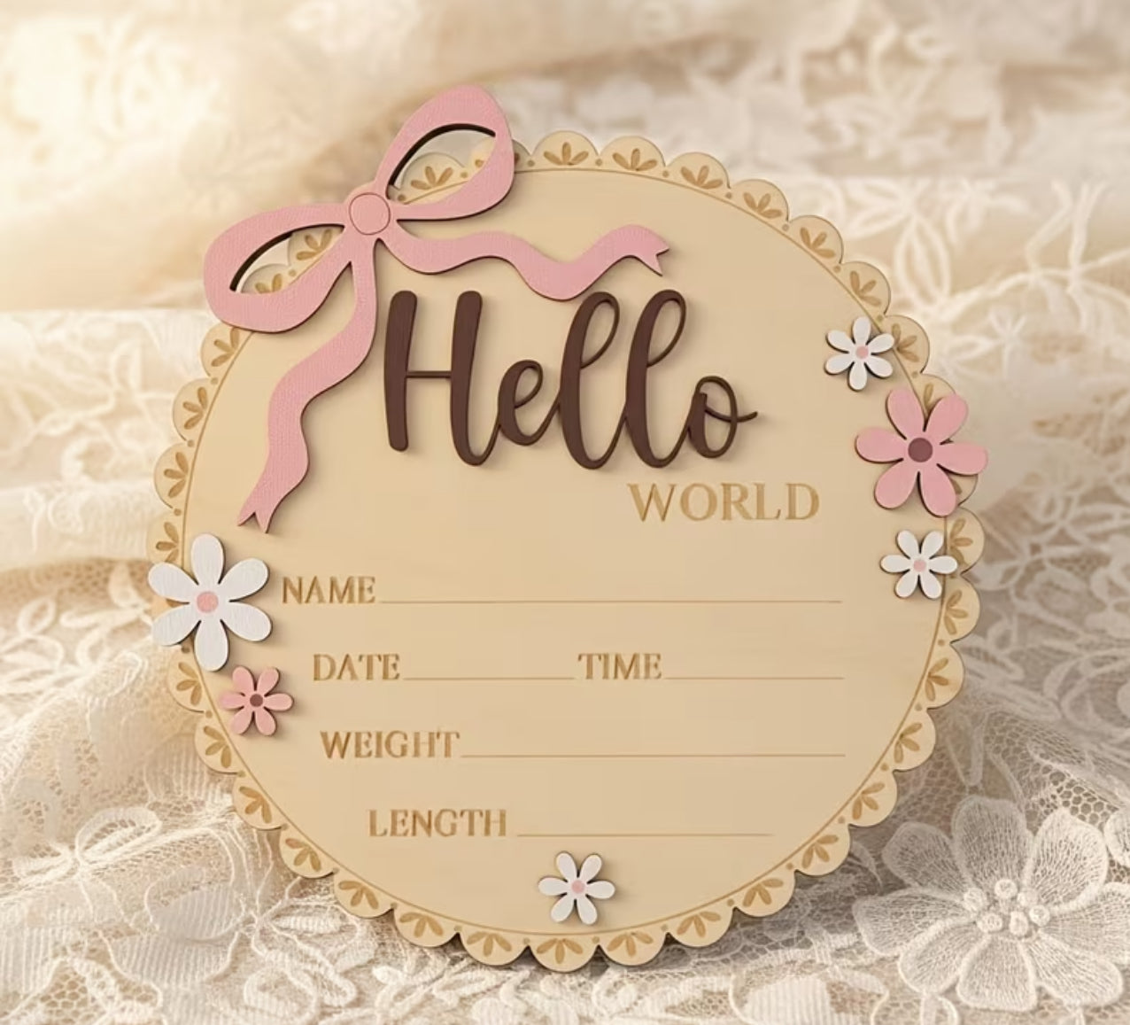 Hello world newborn announcement sign